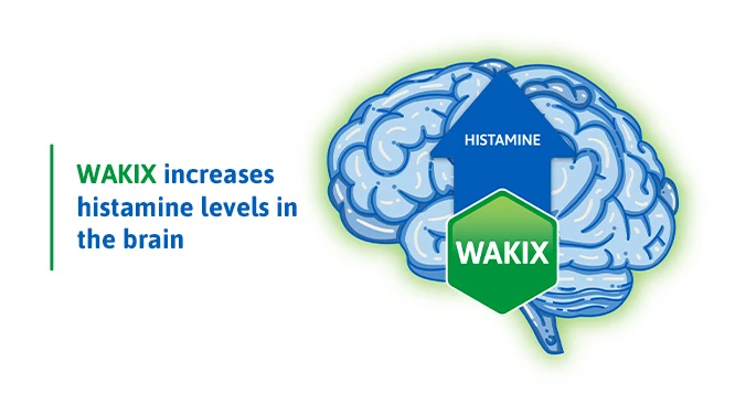 Video thumbnail showing WAKIX increases histamine in the brain